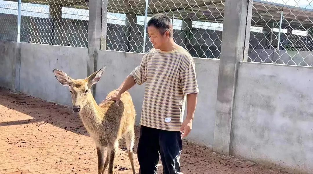 新濠三元手机游戏